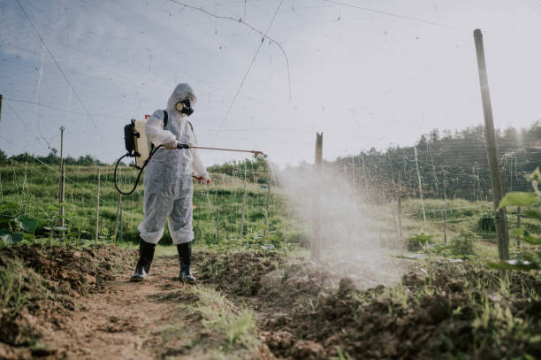 Best Ant Control Services  in Cathcart, WA