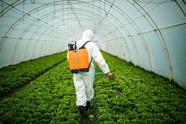 Best Affordable Pest Control Services  in Cathcart, WA