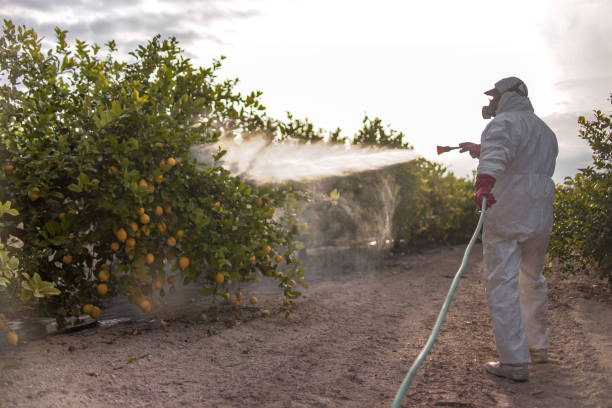 Best Commercial Pest Control Services  in Cathcart, WA