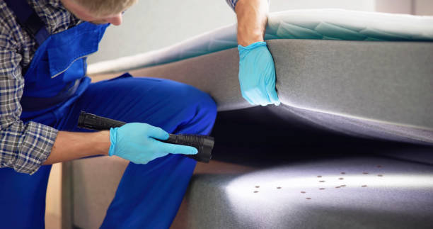 Best Termite Control Services  in Cathcart, WA