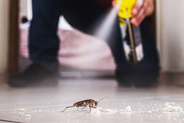 Best Mosquito Control Services  in Cathcart, WA