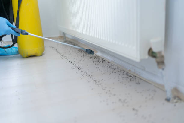 Best Emergency Pest Control  in Cathcart, WA
