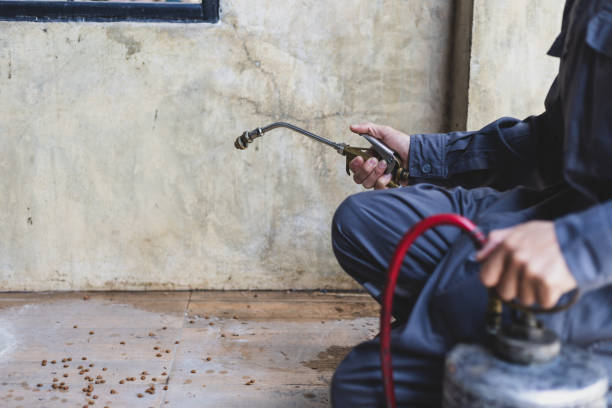 Best Pest Removal Services  in Cathcart, WA
