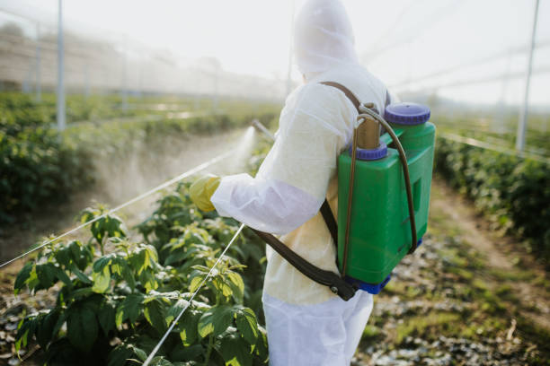 Best Pest Inspection Near Me  in Cathcart, WA